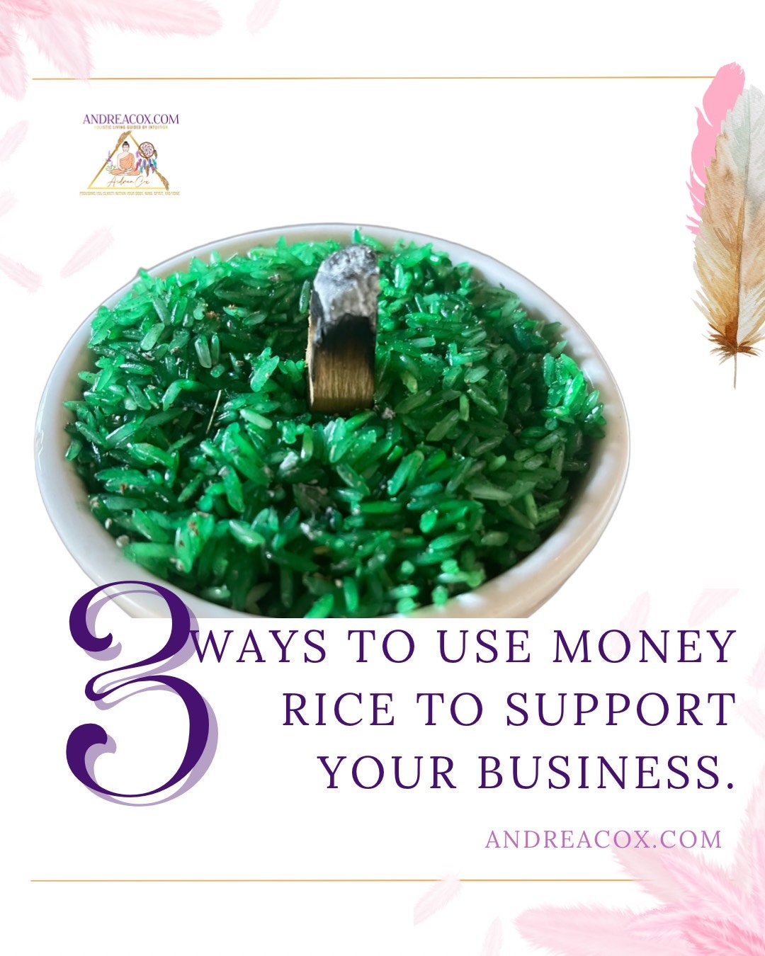 Money Rice