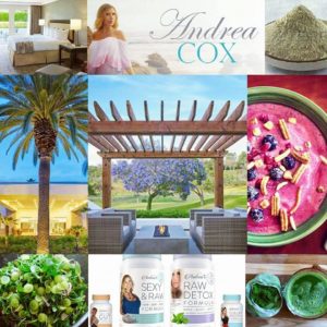 new-retreats