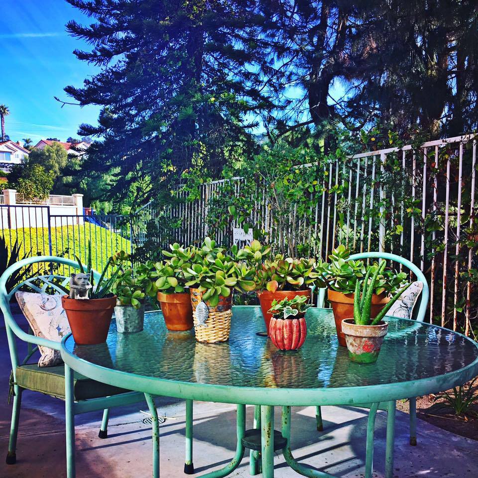 planter