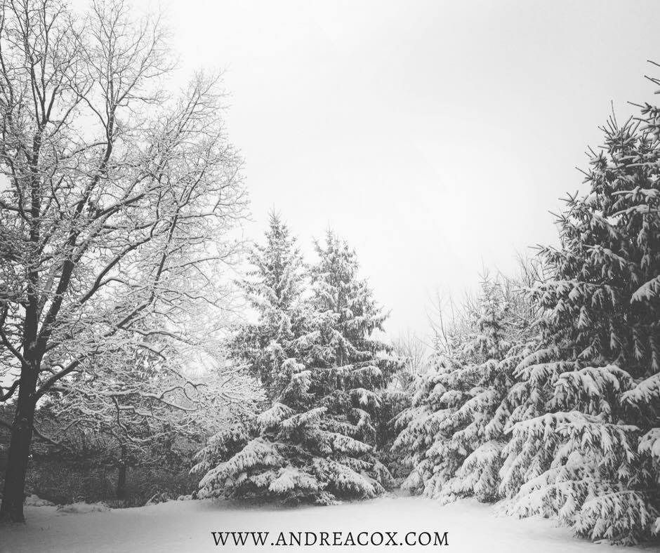 snow-day-ohio